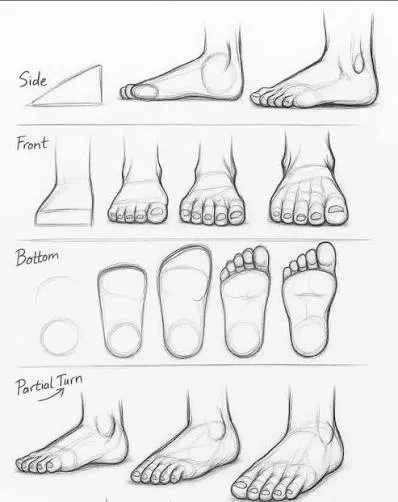 Simple foot construction diagram showing the wedge shape used by artists